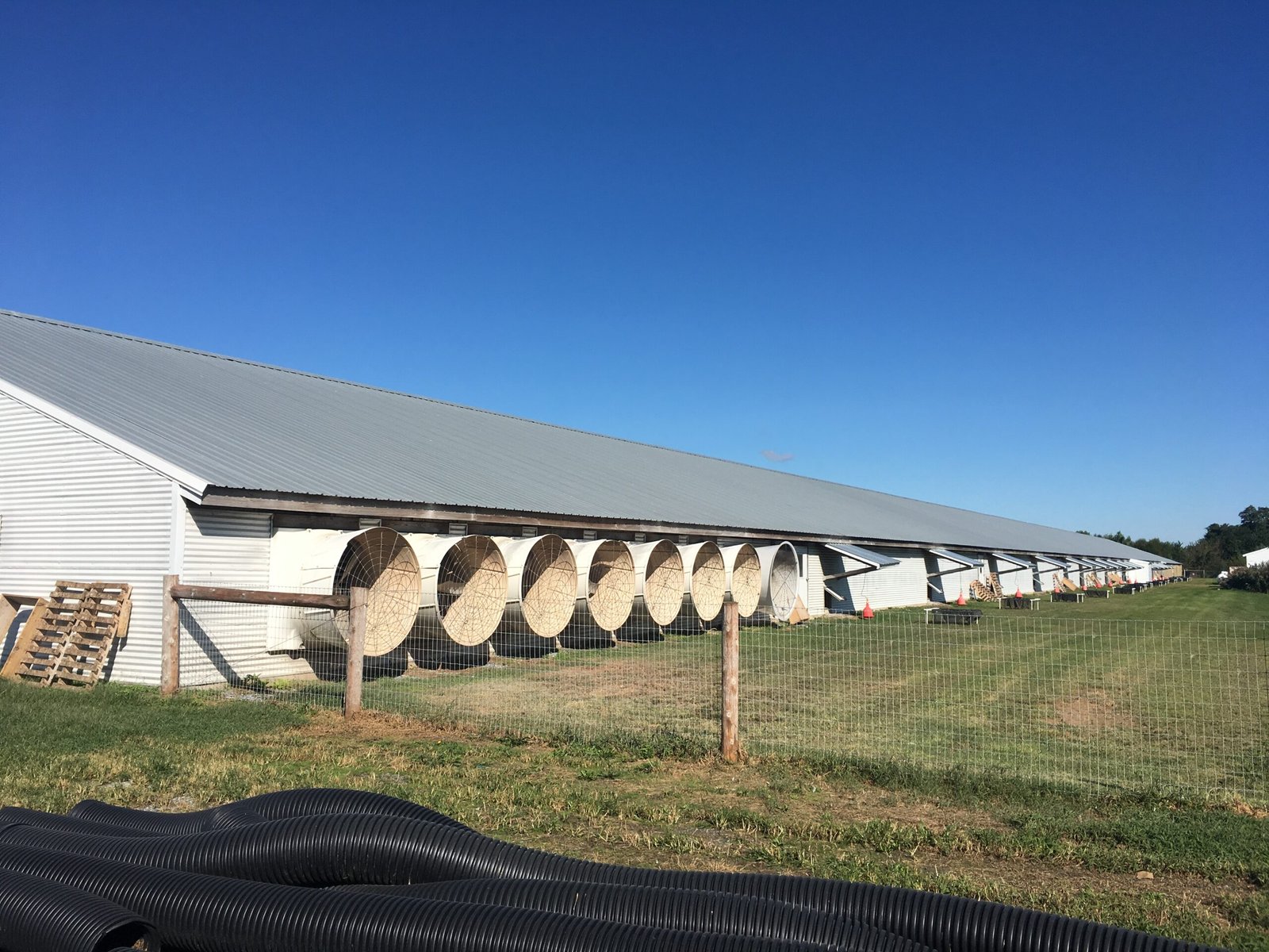 حضائر دواجن